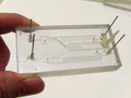 Urządzenie mikrofluidyczne składa się z dwóch płytek poliwęglanowych, w jednej z nich są wyfrezowane kanały, natomiast druga płytka służy do zamknięcia urządzenia. Po lewej i prawej stronie urządzenia widać kawałki kapilar (tj. bardzo cienkich rurek) stalowych, którymi wpływa i wypływa ciecz. Za pomocą przedstawionego urządzenia uzyskuje się krople o różnym składzie chemicznym, które można ze sobą łączyć za pomocą pola elektrycznego. Fot. Tomasz Szymborski